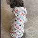 cozakaかわいいブランド犬服